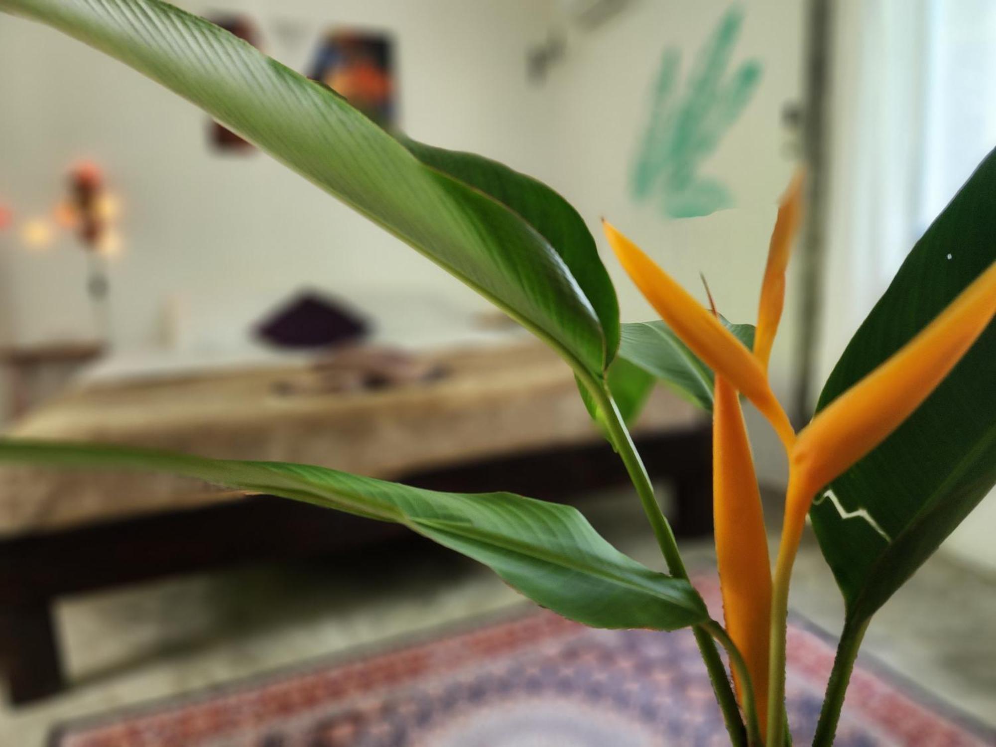 Feel Home No 3 Private House 2Br Hinkong المظهر الخارجي الصورة